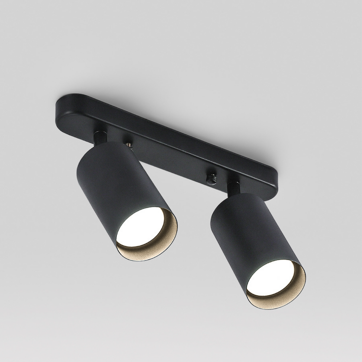 Adjustable Dual Head Ceiling Spotlight for Directional Task Lighting