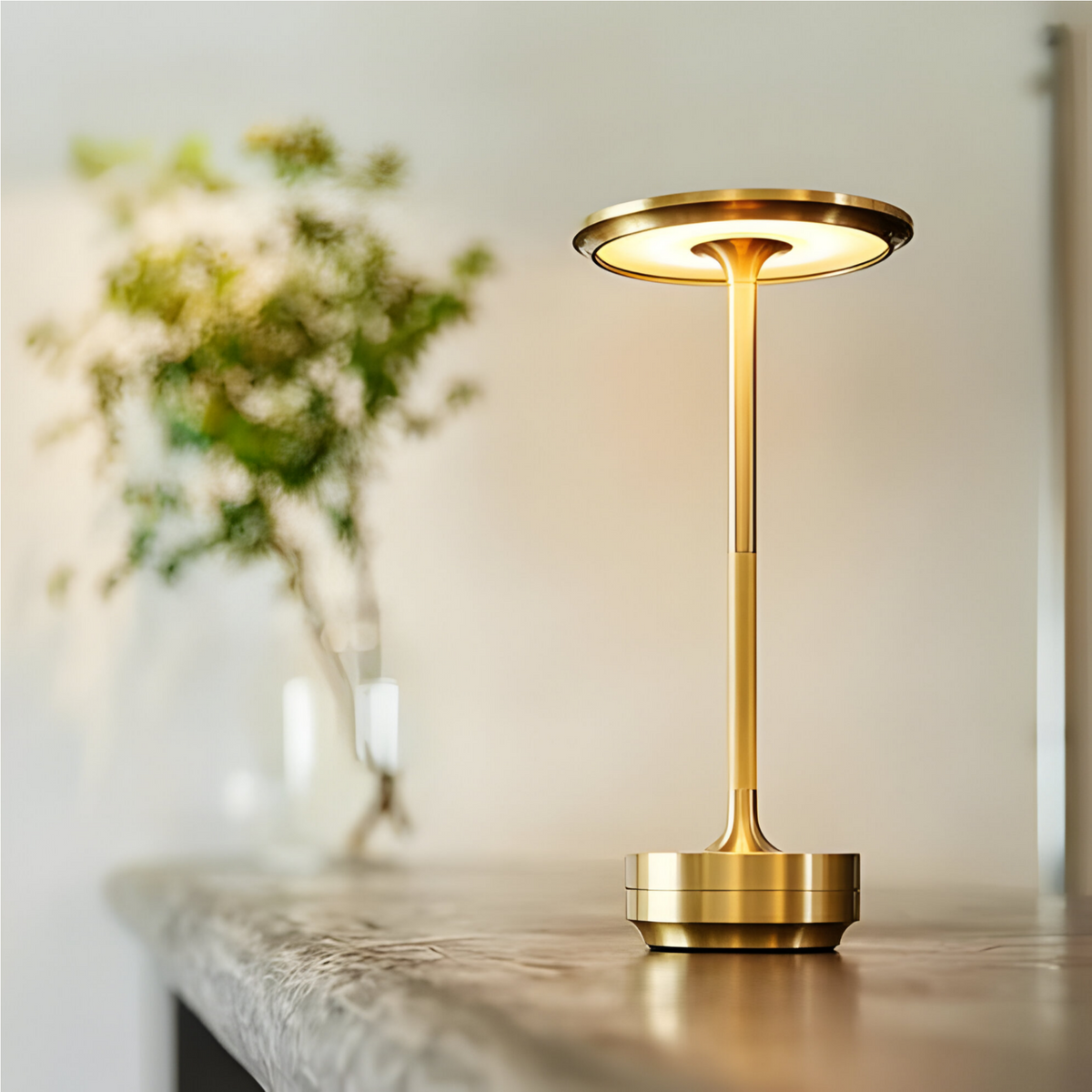 Rechargeable LED Table Lamp with Disc Light Head and Metal Base for Desk Use