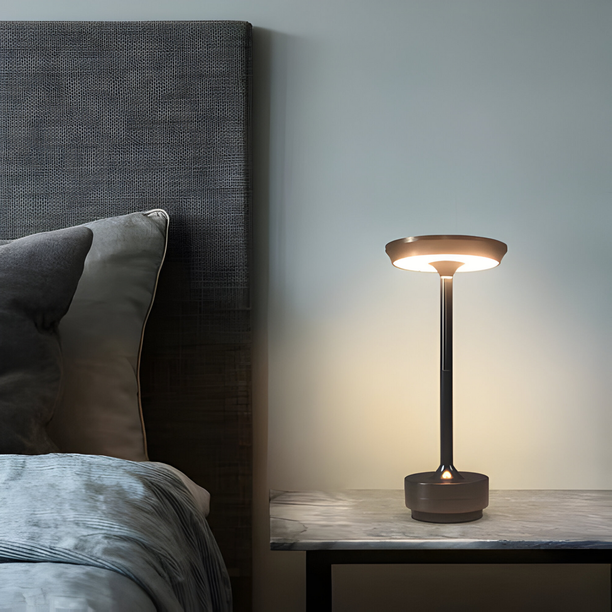Rechargeable LED Table Lamp with Disc Light Head and Metal Base for Desk Use