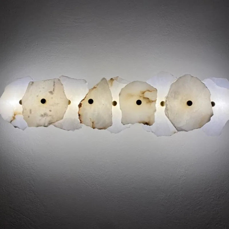 Decorative Organic Shape LED Wall Sconce for Accent Lighting