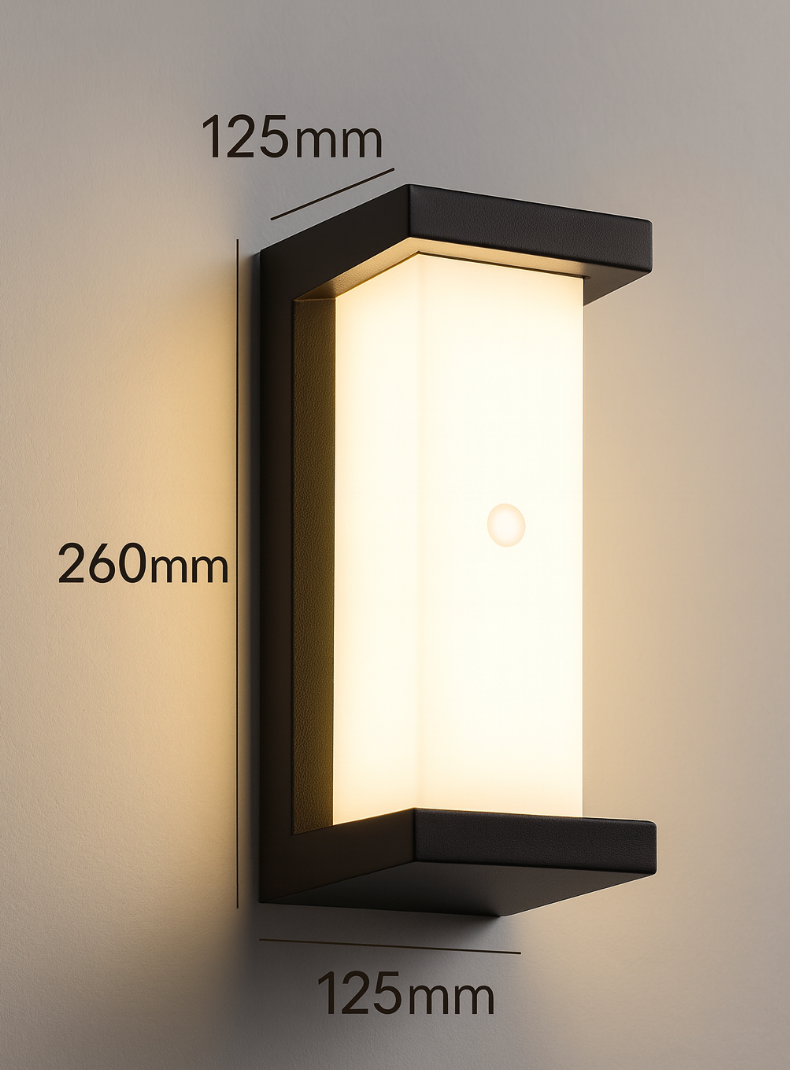 Black LED Outdoor Wall Light for Exterior Area Illumination