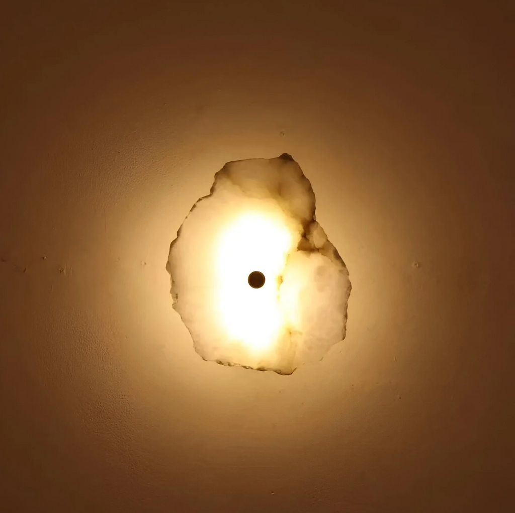 Decorative Organic Shape LED Wall Sconce for Accent Lighting