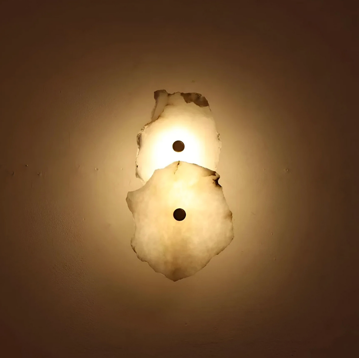 Decorative Organic Shape LED Wall Sconce for Accent Lighting