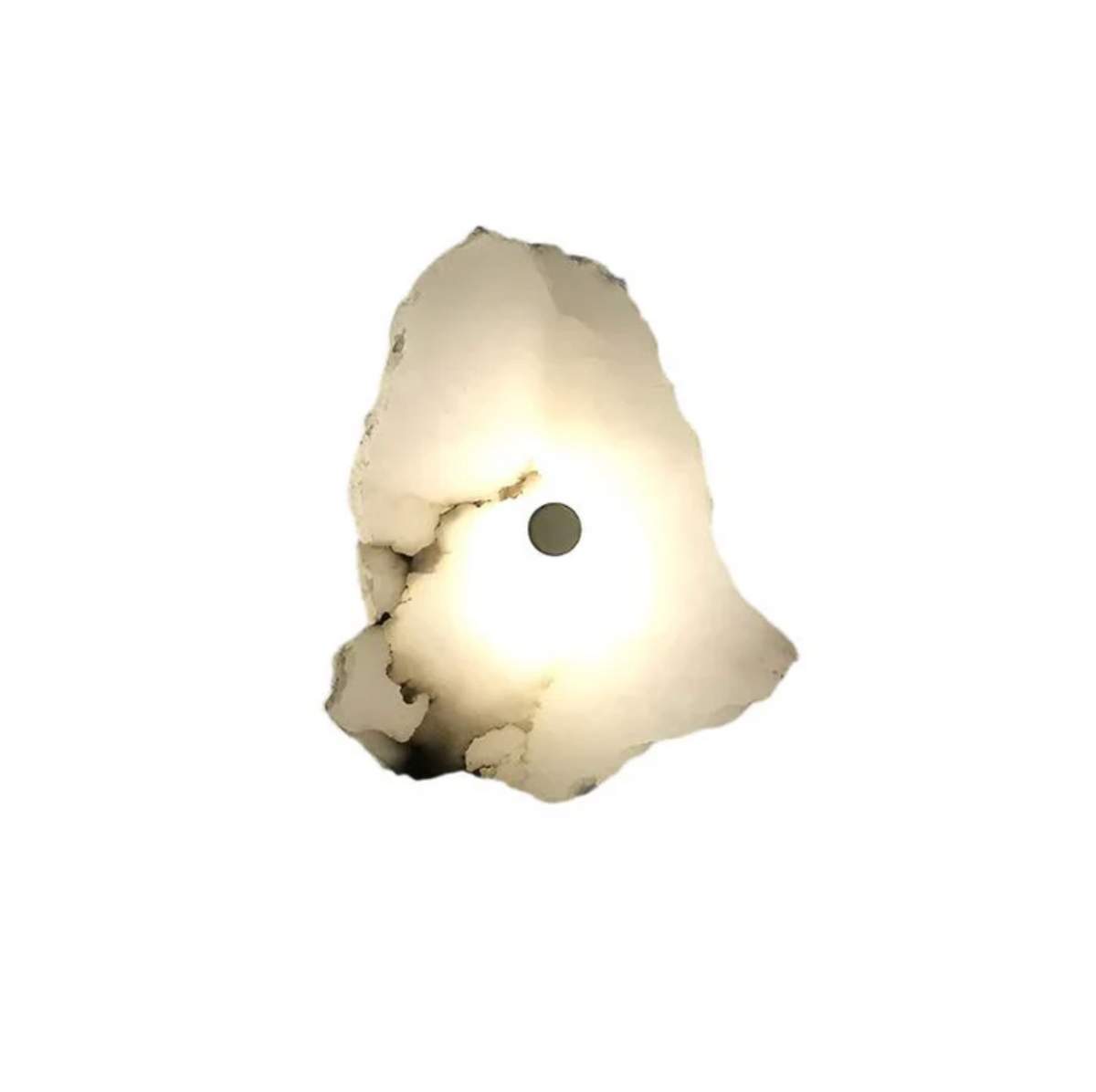 Decorative Organic Shape LED Wall Sconce for Accent Lighting