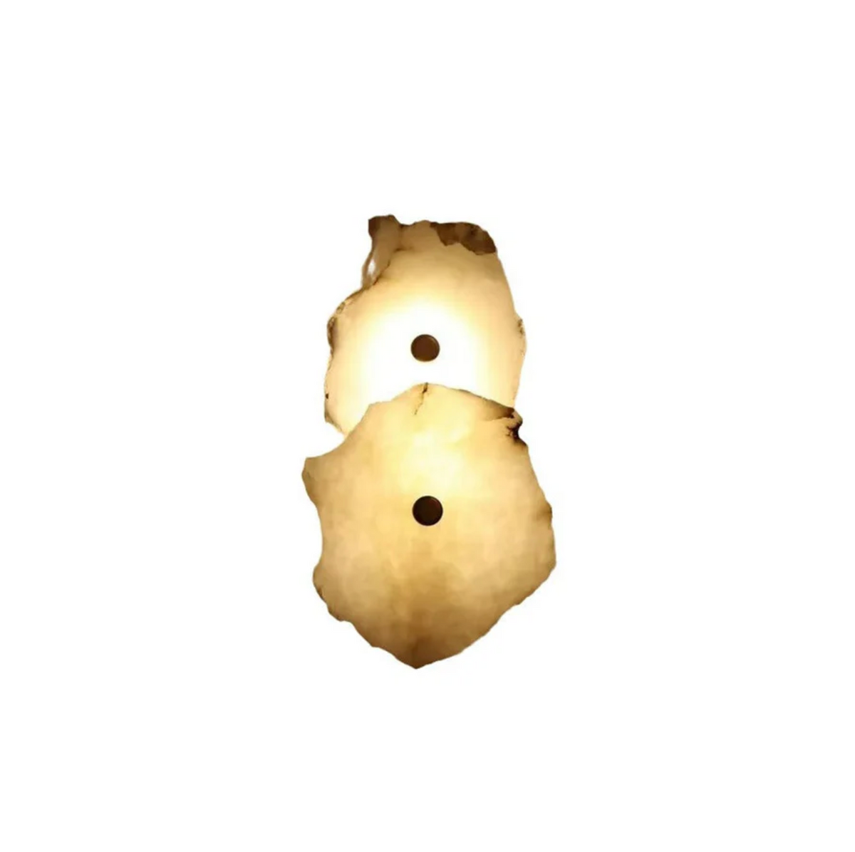 Decorative Organic Shape LED Wall Sconce for Accent Lighting