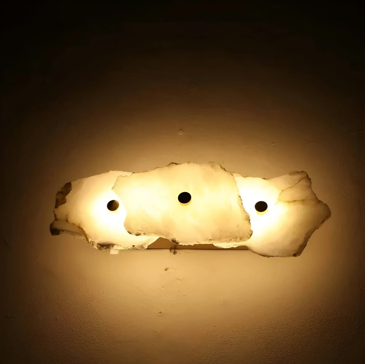 Decorative Organic Shape LED Wall Sconce for Accent Lighting