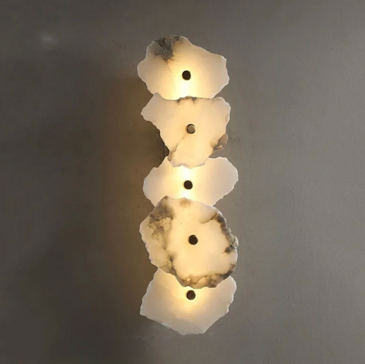 Decorative Organic Shape LED Wall Sconce for Accent Lighting