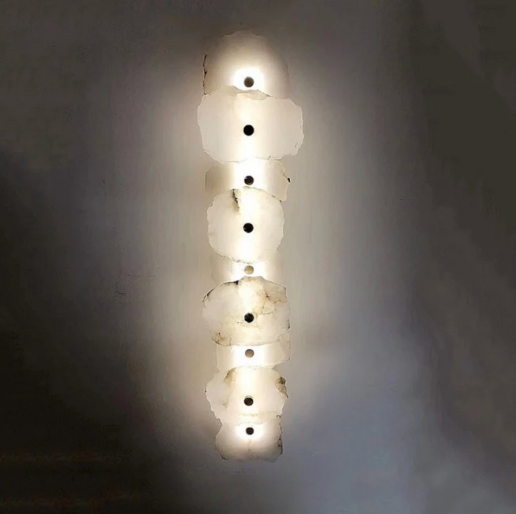 Decorative Organic Shape LED Wall Sconce for Accent Lighting