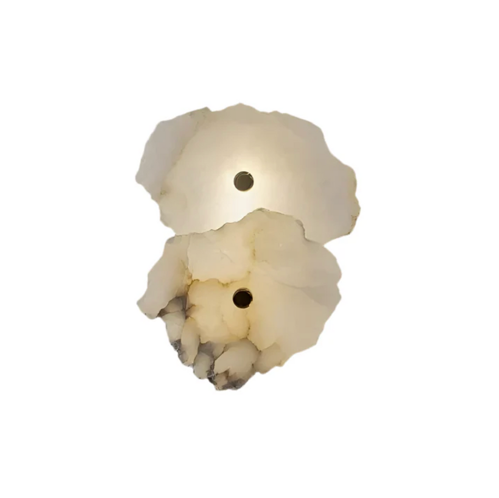 Decorative Organic Shape LED Wall Sconce for Accent Lighting