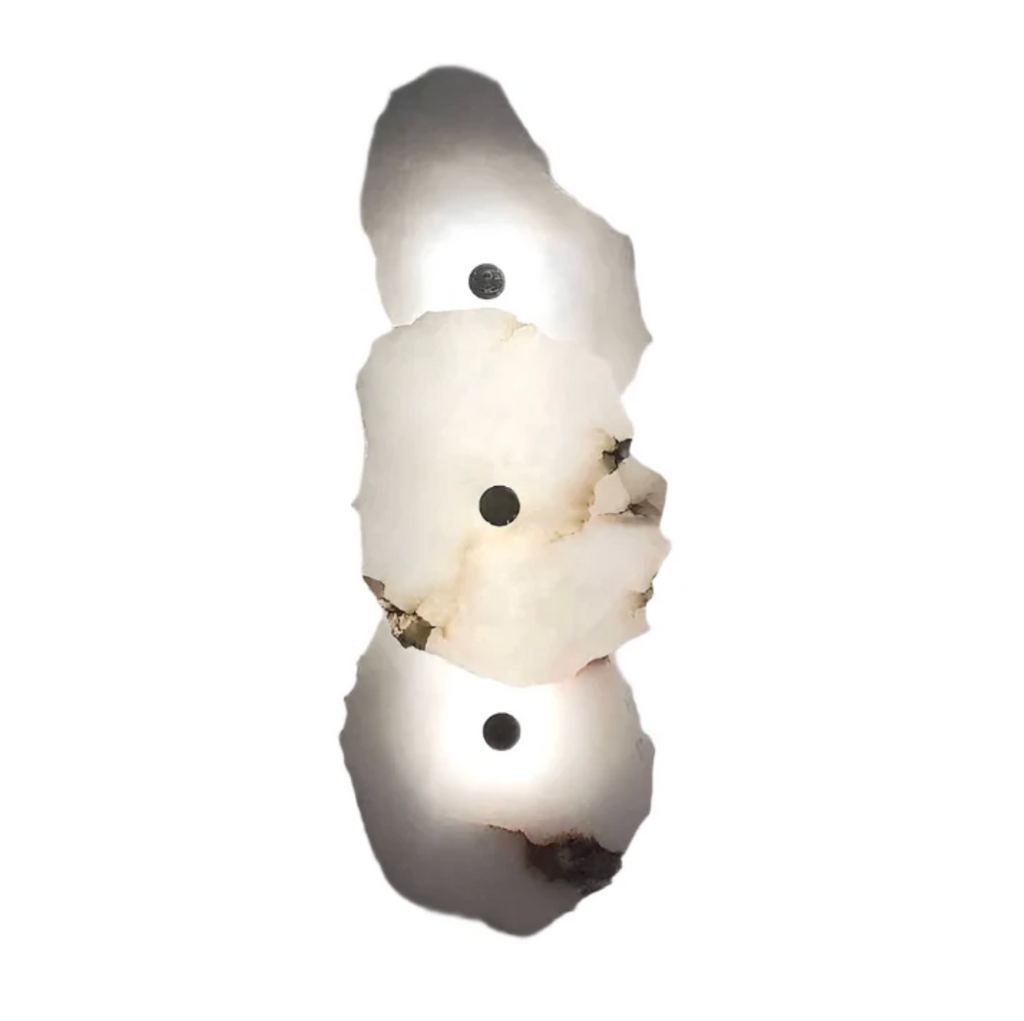 Decorative Organic Shape LED Wall Sconce for Accent Lighting