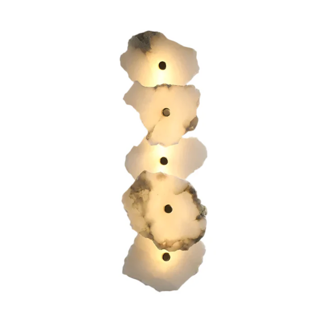 Decorative Organic Shape LED Wall Sconce for Accent Lighting