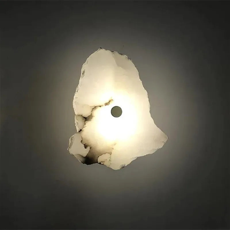 Decorative Organic Shape LED Wall Sconce for Accent Lighting