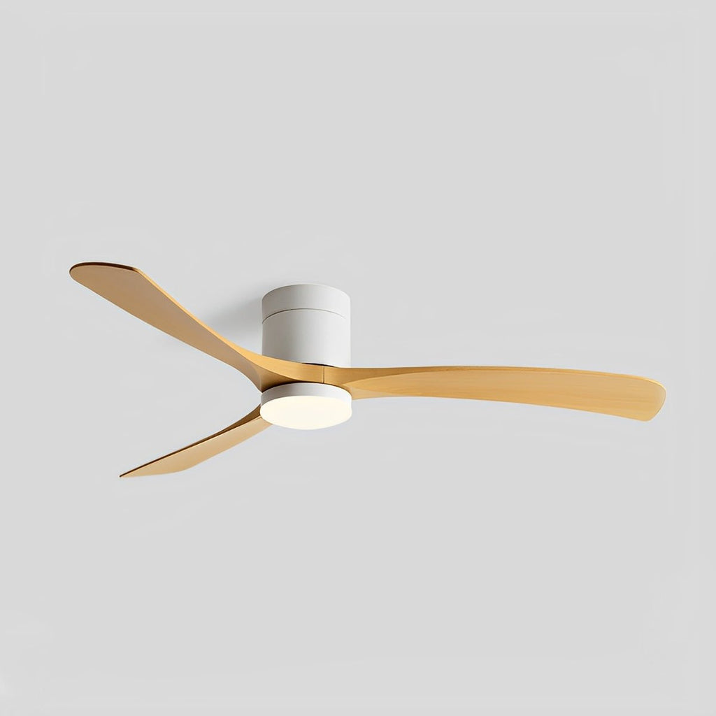 Minimalist Ceiling Fan With Adjustable Lighting for Living Room