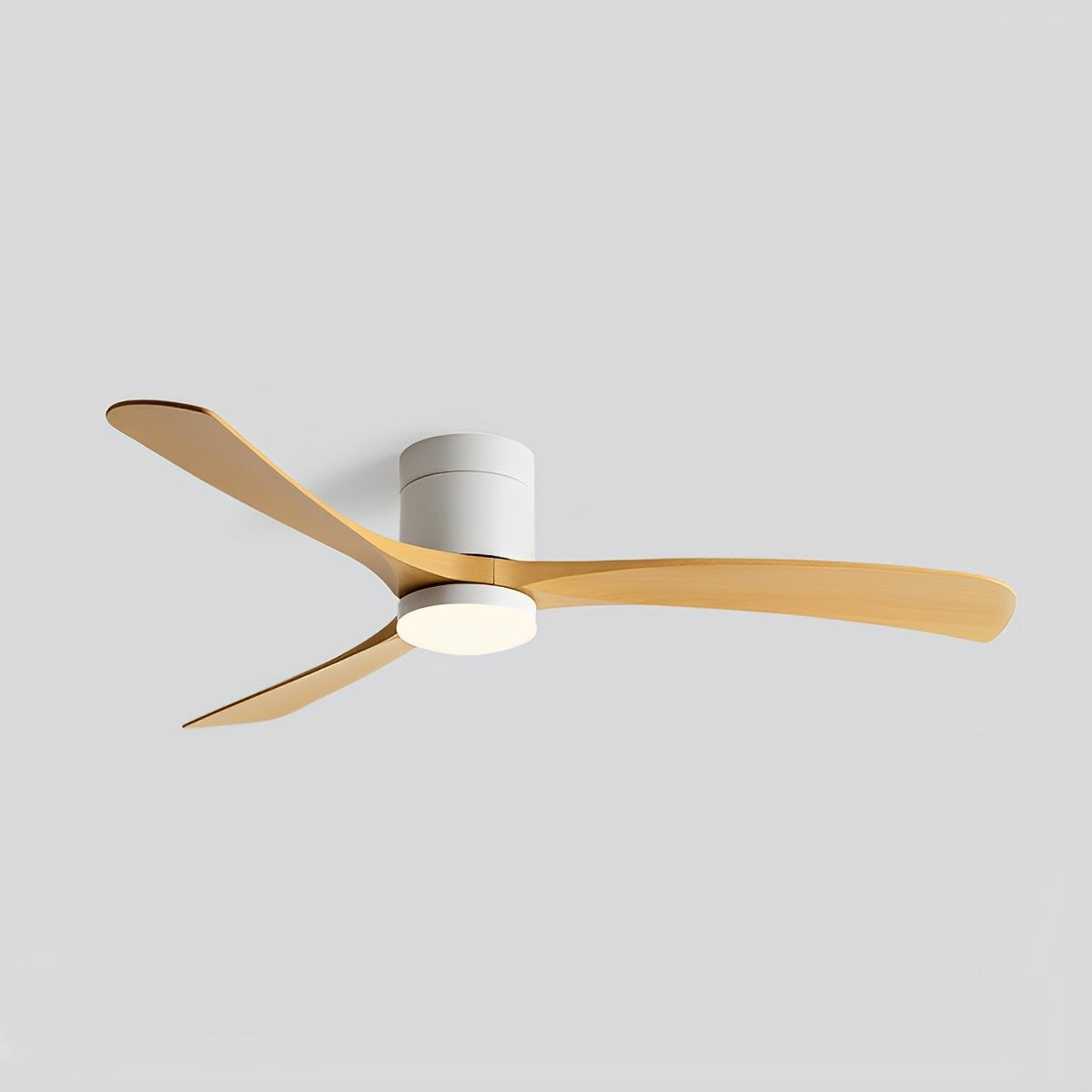 Minimalist Ceiling Fan With Adjustable Lighting for Living Room