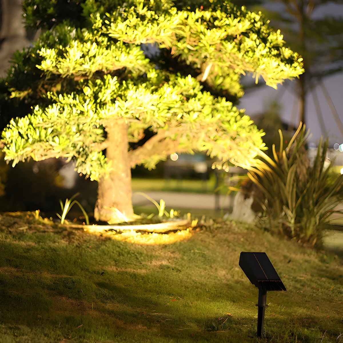 Solar Outdoor Garden Spotlight With Adjustable Head for Pathway Lighting