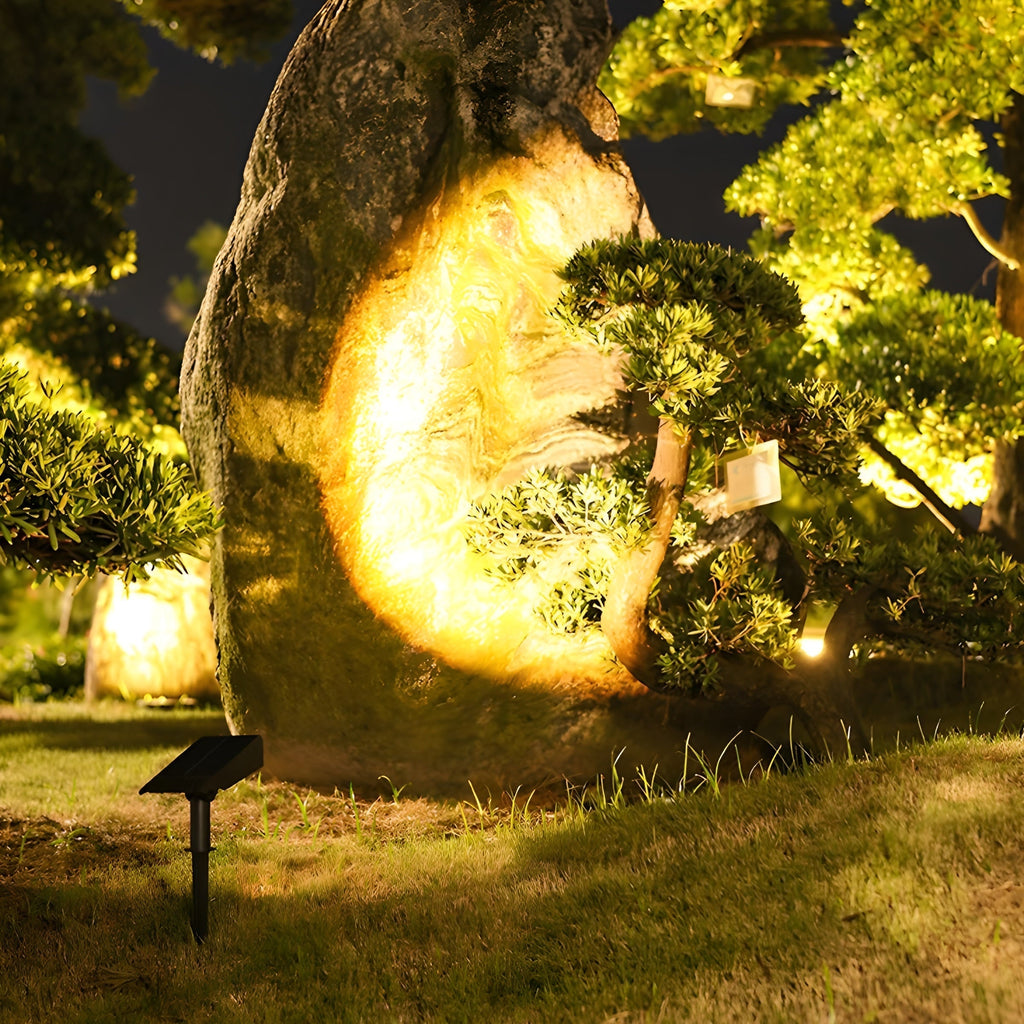 Solar Outdoor Garden Spotlight With Adjustable Head for Pathway Lighting